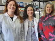 Importante paso hacia el desarrollo de una vacuna contra la brucelosis porcina