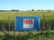 Grave conflicto institucional en el INTA: presidentes de Consejos Regionales y Centros de Investigación exigen diálogo con el Gobierno Nacional