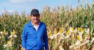 San Luis: José Lorenzino ganó el premio al mejor forraje conservado del país