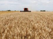 El Gobierno extendió la baja de retenciones para el trigo y cebada y dejó afuera a la soja