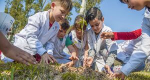 Regresa a Villa Mercedes el curso “Educación Ambiental” para docentes de nivel primario