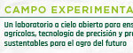 Banner 468x60px_PTF 2025