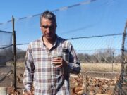 Capacitación gratuita en Villa Mercedes: curso sobre producción de huevos a campo