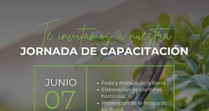 Capacitación productiva y sustentable: jornada abierta en el Vivero IMProFoP