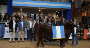 Genética destacada, buenos precios y clima de inversión, el resumen de la Semana Angus