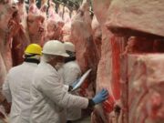 Los frigoríficos exportadores suspenden empleados, reducen su trabajo y advierten sobre una pérdida del negocio