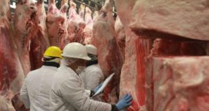 Los frigoríficos exportadores suspenden empleados, reducen su trabajo y advierten sobre una pérdida del negocio