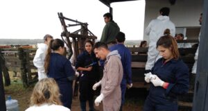Jornada intensiva para veterinarios: formación y compromiso con el nuevo Centro Ecuestre y Terapéutico