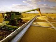 23 años de Derechos de Exportación (DEX): El impacto en el campo argentino