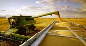 23 años de Derechos de Exportación (DEX): El impacto en el campo argentino