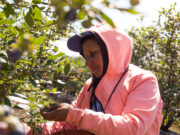 El RENATRE aumenta la prestación por desempleo a $260.000