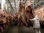Exportaciones: ligera recuperación de valores y precios durante abril, aunque con un balance todavía negativo en lo que va del año