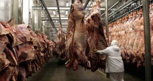 Exportaciones: ligera recuperación de valores y precios durante abril, aunque con un balance todavía negativo en lo que va del año