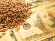 Tensión geopolítica y clima de negocios global impulsan a los commodities, pero el trigo preocupa