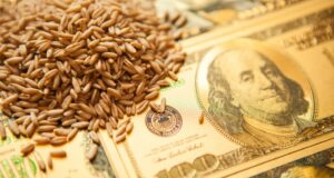 Tensión geopolítica y clima de negocios global impulsan a los commodities, pero el trigo preocupa