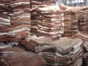 Eliminaron una regulación a la exportación de cueros bovinos de hace más de 30 años