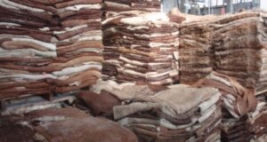 Eliminaron una regulación a la exportación de cueros bovinos de hace más de 30 años