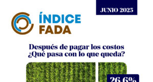 Después de pagar los costos ¿Qué pasa con lo que queda? El 63,6% es para pagar impuestos