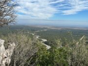 San Luis: abren inscripciones al Registro de Profesionales y Empresas para la Protección de los Bosques Nativos