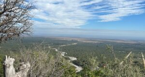 San Luis: abren inscripciones al Registro de Profesionales y Empresas para la Protección de los Bosques Nativos