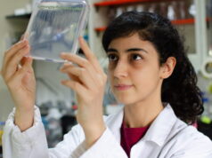 Frente al frío, las plantas reorganizan su fisiología hormonal