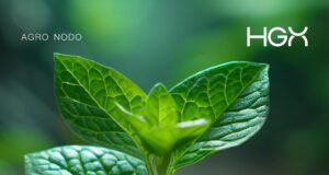 AKO Agro: ciencia, innovación y compromiso con el agro en América del Sur