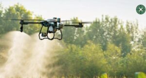 Los drones aterrizan en el agro: Rodrigo Becerra presentó su experiencia en Buena Esperanza