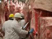 La producción de carne vacuna es la que más empleo genera entre todas las cadenas agroindustriales
