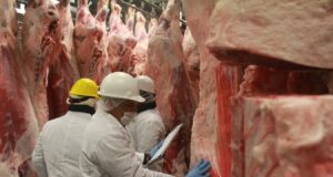 La producción de carne vacuna es la que más empleo genera entre todas las cadenas agroindustriales