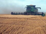 Argentina ante un nuevo ciclo económico: La desregulación y la estabilidad cambiaria como pilares del rumbo económico actual