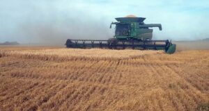 Argentina ante un nuevo ciclo económico: La desregulación y la estabilidad cambiaria como pilares del rumbo económico actual