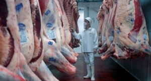Repunte en las exportaciones de carne vacuna, pero bajo la sombra de la tensión geopolítica