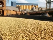 Argentina vuelve al mercado de deuda con alto costo y el agro aporta divisas clave