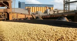 Argentina vuelve al mercado de deuda con alto costo y el agro aporta divisas clave