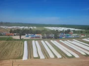 La poscosecha es la nueva frontera de la eficiencia agrícola