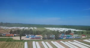 La poscosecha es la nueva frontera de la eficiencia agrícola