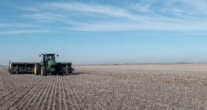 San Luis ya sembró el 30% del trigo proyectado: crece la superficie respecto a campañas anteriores