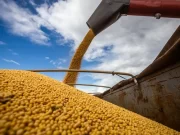 La soja cae por biocombustibles y presión financiera, mientras el mercado espera señales climáticas de EE.UU.