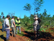El RENATRE implementó un nuevo sistema de fiscalización digital para agilizar y modernizar el control del trabajo rural en todo el país