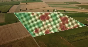 Siembra variable: integración de mapas de suelo, rendimiento y potenciales para decisiones más precisas