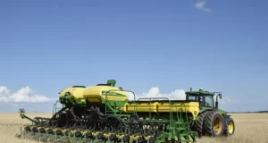 Finalizó la siembra de trigo en San Luis: se implantaron 11.900 hectáreas y continúa la recuperación del cultivo