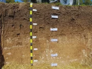 SisINTA contiene 7000 perfiles de suelos georreferenciados