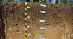 SisINTA contiene 7000 perfiles de suelos georreferenciados