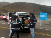 Vacaciones de invierno: Qué productos, animal y/o vegetal, no ingresar al país