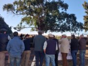 Brucelosis bovina: Se explicaron avances del plan en establecimientos de La Pampa