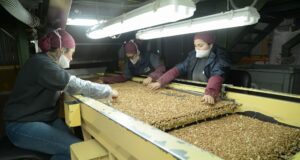 Récord histórico en la modernización del Código Alimentario Argentino: 32 resoluciones en seis meses