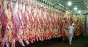 Faena y reposición: ¿Cuán lejos nos encontramos de ingresar a una fase de retención?