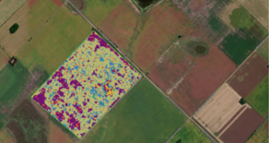 Ya se aplica en San Luis: diagnóstico de suelo mediante imágenes satelitales