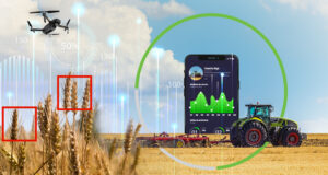 Informe CREA: el agro argentino y el desafío de ser competitivo más allá del tipo de cambio