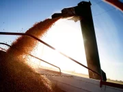 Cae un 19% la confianza del campo sobre el futuro del sector y vuelve a encenderse la luz de alerta en las inversiones
